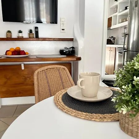 公寓 Casa Athena Naxos